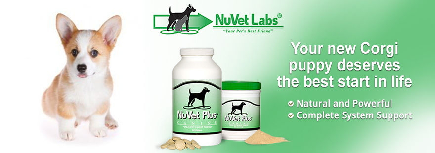 nuvet labs dogs cats vitamins supplements header